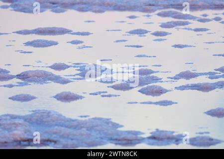 Petits tas de sel au crépuscule dans les salines de Salinas d’en Ferrer près de la Savina (Parc naturel de ses Salines, Formentera, Pityuses, Îles Baléares, Espagne) Banque D'Images