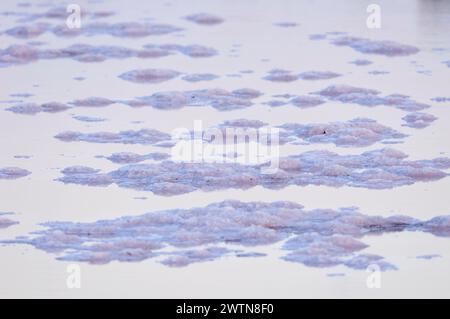 Petits tas de sel au crépuscule dans les salines de Salinas d’en Ferrer près de la Savina (Parc naturel de ses Salines, Formentera, Pityuses, Îles Baléares, Espagne) Banque D'Images