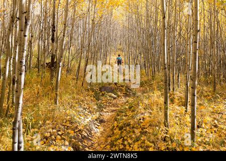 Automne à Vail Banque D'Images