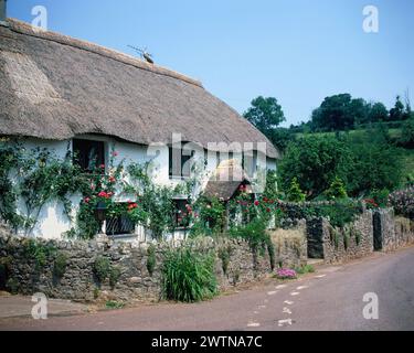 Royaume-Uni. Angleterre. Devon. Village de Coffinswell. Rose Cottage. Banque D'Images