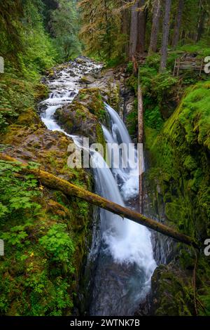 Sol Duc falls in Olympic National Park, Washington, USA. Banque D'Images