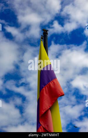 Oiseau perché sur le mât du drapeau portant le drapeau colombien un après-midi Banque D'Images