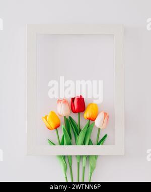 Composition de printemps faite avec des fleurs de tulipe colorées disposées dans le cadre sur fond blanc avec espace de copie. Concept minimal et simplicité. Banque D'Images