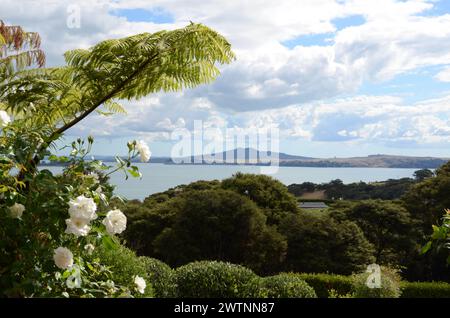 Vue sur le port d'Auckland et Rangitoto depuis l'île de Waiheke Banque D'Images