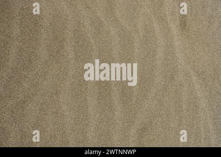 Ondulations à travers la texture de sable humide dans le parc national de séquoias Banque D'Images