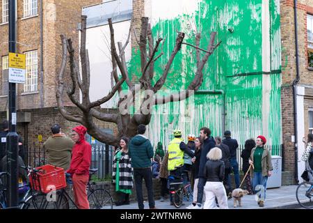 Londres, Royaume-Uni, 18 mars 2024. Les foules se sont rassemblées pour voir la nouvelle murale de Londres , la murale de Banksy derrière un cerisier coupé. La peinture murale verte géante avec un pochoir d'une personne tenant un pulvérisateur dans le coin inférieur gauche est apparue dans le nord de Londres dimanche. Angleterre Royaume-Uni. Crédit : xiu bao/Alamy Live News Banque D'Images