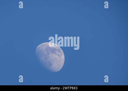 Cette image capture la phase gibbeuse épilante de la lune, clairement visible sur un ciel bleu tranquille et clair pendant la journée. La visibilité des détails de la surface de la lune tels que les cratères, les hautes terres et les mers, même dans les conditions lumineuses de la lumière du jour, témoigne de ses propriétés réfléchissantes et de sa proximité avec la Terre. L'immensité du ciel bleu fournit une toile de fond minimaliste qui accentue la présence solitaire de la lune. Lune gibbbous cirée contre le ciel bleu clair de jour. Photo de haute qualité Banque D'Images