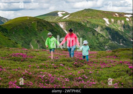 Une mère avec son fils et sa fille marchent parmi les buissons de rhododendrons sur fond de la majesté des Carpates. Banque D'Images