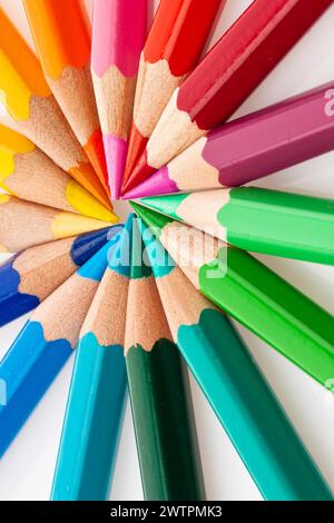 Beaucoup de crayons de différentes couleurs sur un fond blanc Banque D'Images