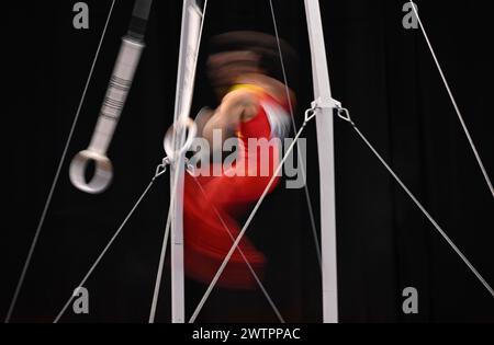 Gymnastique, gymnastique artistique, gymnastes, hommes, caractéristique, mouvement, effet de mouvement, effet de balayage, anneaux, EnBW DTB-Pokal 2024, Porsche Arena Banque D'Images