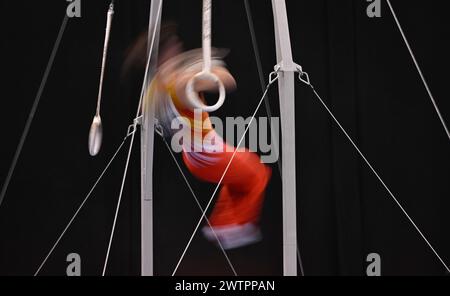 Gymnastique, gymnastique artistique, gymnastes, hommes, caractéristique, mouvement, effet de mouvement, effet de balayage, anneaux, EnBW DTB-Pokal 2024, Porsche Arena Banque D'Images