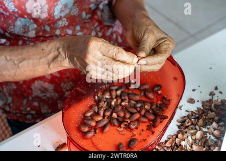 Gros plan d'une femme âgée épluchant des fèves de cacao dans une cuisine Banque D'Images