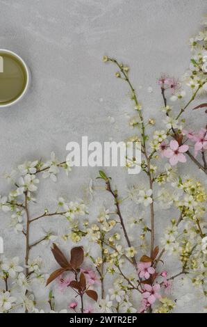 Fleur de cerisier sur fond gris, matcha, texture, sakura, style japonais. Banque D'Images