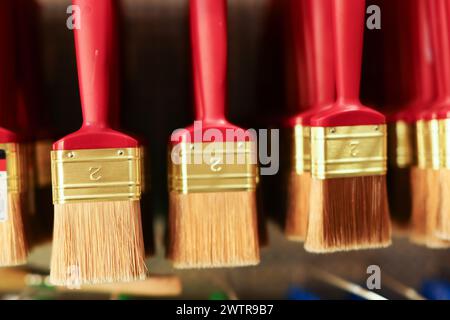 pinceaux pour peinture et réparation dans l'assortiment du magasin Banque D'Images
