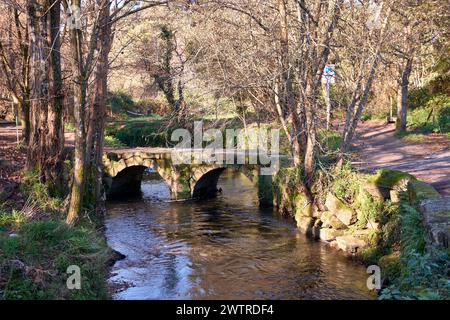 Le pont de Sárdoma est un pont médiéval qui traverse la rivière Lagares dans la paroisse de Vigo à Sárdoma. Il pourrait avoir des origines romaines, bien que le curren Banque D'Images