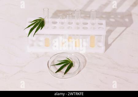 Tubes à essai de laboratoire avec liquide jaune et un récipient médical en verre rond avec une feuille de cannabis sur un fond beige. Instruments de laboratoire avec h Banque D'Images