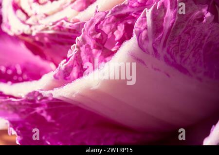 Fond abstrait de macro chou violet. Composition créative dans la dure lumière du soleil. Couper le produit brut. Végétarisme, alimentation, vitamines. Violet Pek Banque D'Images