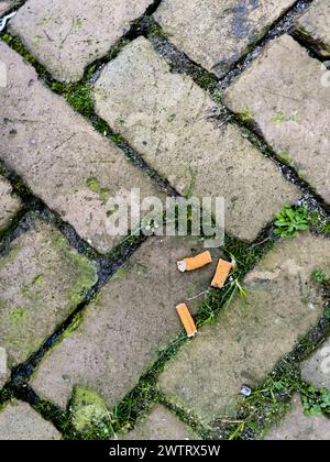 Des mégots de cigarettes dispersés sur le pavé sale, observés depuis une perspective élevée, dépeignant la négligence urbaine et la pollution. Banque D'Images