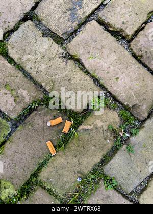 Des mégots de cigarettes dispersés sur le pavé sale, observés depuis une perspective élevée, dépeignant la négligence urbaine et la pollution. Banque D'Images