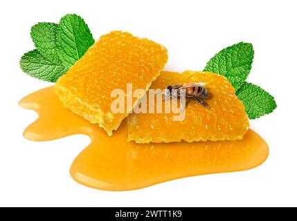 Savoureux nids d'abeilles, menthe et abeille sur fond blanc Banque D'Images