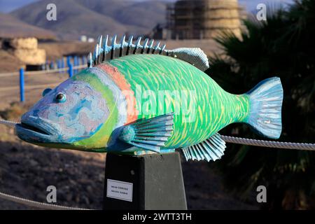 Sculpture de wrasse ornée, Thalassoma Pavo, au-dessus du port de pêche, El Cotillo, Fuerteventura, îles Canaries, Espagne. Banque D'Images