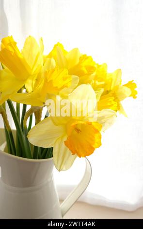 fleurs de jonquille jaunes dans un vase en métal Banque D'Images