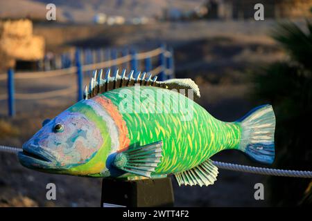 Sculpture de wrasse ornée, Thalassoma Pavo, au-dessus du port de pêche, El Cotillo, Fuerteventura, îles Canaries, Espagne. Banque D'Images