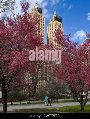 Le bâtiment El Dorado se dresse à l'arrière-plan des cerisiers en fleurs de Central Park le 18 mars 2024 à New York. Banque D'Images