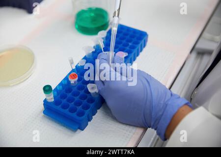 Scientifique féminin attrayant test utilisant le sang de tube à essai et peppet pour les résultats de l'adn Banque D'Images