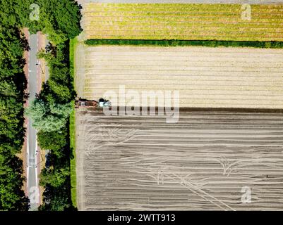 Vue aérienne du tracteur labourant un champ agricole Banque D'Images