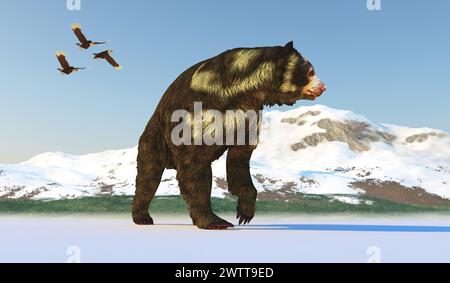 Arctodus était un ours à tête courte omnivores qui vivent en Amérique du Nord au cours de la période du pléistocène. Banque D'Images