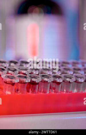 Gros plan de tubes à essai de laboratoire dans un support avec mise au point sélective Banque D'Images