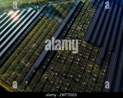 Vue aérienne de la ferme solaire pendant le coucher du soleil Banque D'Images