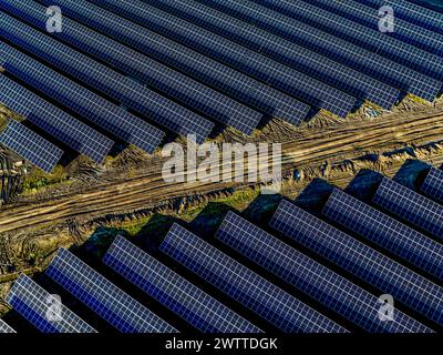 Vue aérienne d'une ferme solaire avec panneaux géométriques à côté de champs cultivés. Banque D'Images