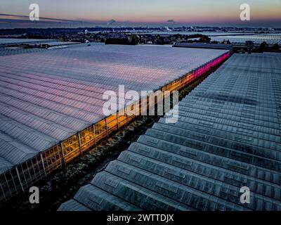 Les teintes du coucher du soleil baignent le vaste complexe de serres dans une lueur chaude. Banque D'Images