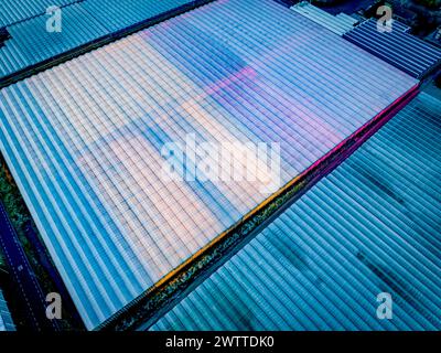 Vue aérienne d'une vaste ferme de panneaux solaires au crépuscule. Banque D'Images