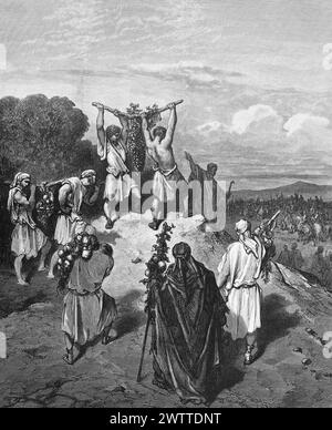 Les scouts de retour de Canaan, quatrième Livre de Moïse, ancien Testament, Bible, ilustration historique 1886 Banque D'Images