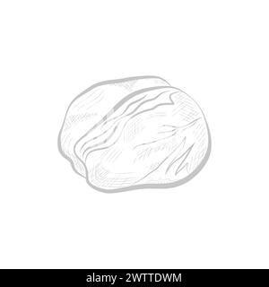 Chou frais, croquis de ligne ingrédient alimentaire sain, illustration vectorielle végétale du marché des agriculteurs Illustration de Vecteur
