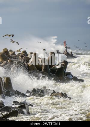 Tempête en mer, hautes vagues s'écrasant contre les brise-lames bétonnés du port, éclaboussures blanches, mouettes volantes, tempête d'ouragan, puissance de la nature Banque D'Images