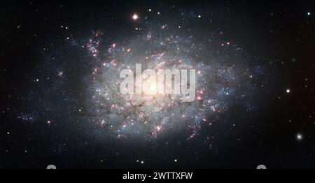 Splendide galaxie remplie d'étoiles Banque D'Images