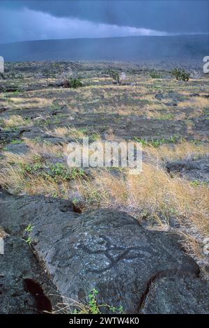 Pétroglyphes pu'u Loa, pris en 1998, Parc national des volcans Hawai'i, Hawaï, Îles Hawaï, États-Unis Banque D'Images