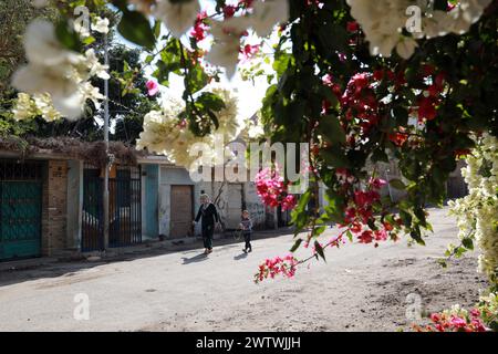 Le Caire, Égypte. 19 mars 2024. Les gens marchent devant des fleurs en fleurs à Gizeh, Egypte, 19 mars 2024. Crédit : Sui Xiankai/Xinhua/Alamy Live News Banque D'Images