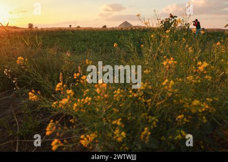 Le Caire. 19 mars 2024. Cette photo prise le 19 mars 2024 montre le paysage printanier près de la pyramide Bent à Gizeh, en Égypte. Crédit : Sui Xiankai/Xinhua/Alamy Live News Banque D'Images