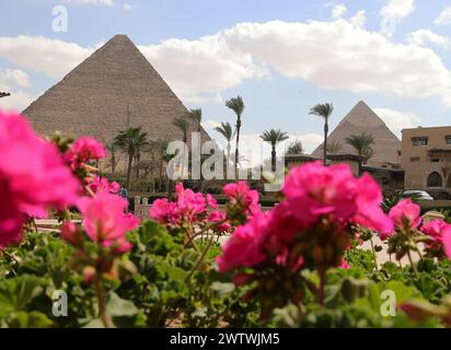 Le Caire. 19 mars 2024. Cette photo prise le 19 mars 2024 montre des fleurs en fleurs près de la pyramide de Khoufou à Gizeh, en Égypte. Crédit : Wang Dongzhen/Xinhua/Alamy Live News Banque D'Images