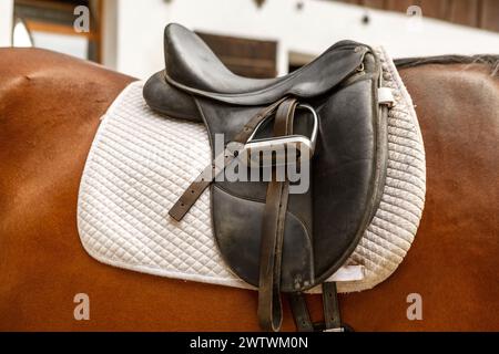 Une selle anglaise sur un cheval, cheval sellé de sang chaud Banque D'Images