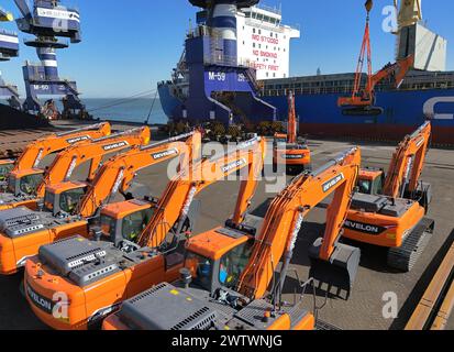 YANTAI, CHINE - 19 MARS 2024 - Une grue charge des excavatrices exportées vers le Brésil dans le cargo «Yantai - Brésil» au port de Yantai, Shandong pr Banque D'Images