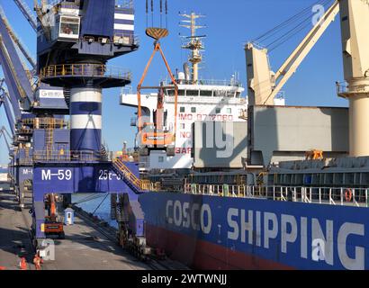 YANTAI, CHINE - 19 MARS 2024 - Une grue charge des excavatrices exportées vers le Brésil dans le cargo «Yantai - Brésil» au port de Yantai, Shandong pr Banque D'Images