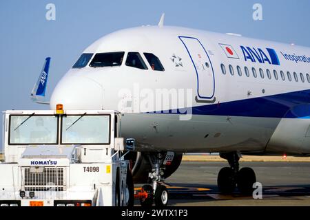 Tokyo, Japon. 16 mars 2024. Tous les avions Nippon Airways (ANA) vus à l'aéroport international de Tokyo, communément appelé aéroport Haneda à Tokyo. All Nippon Airways (ANA/NH) a annoncé le 19 mars qu'elle poursuivrait ses vols supplémentaires sur la liaison Haneda-Noto en avril. Les vols réguliers ont été suspendus en raison du tremblement de terre survenu dans la péninsule de Noto le 1er janvier 2024, et les vols supplémentaires, en service depuis le 27 janvier, se poursuivront avec trois aller-retour par semaine. Crédit : SOPA images Limited/Alamy Live News Banque D'Images