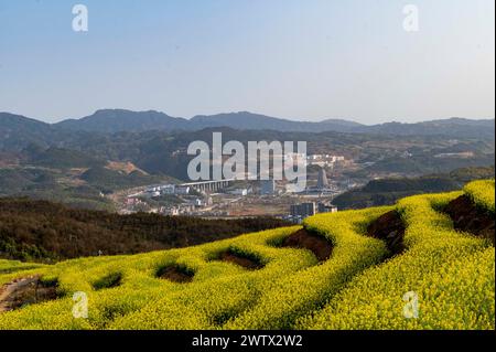 Congjiang, Chine. 20 mars 2024. Une photo aérienne montre le paysage de fleurs de colza sur une base de plantation dans le comté de Congjiang, dans la province du Guizhou du sud-ouest de la Chine, le 19 mars 2024. (Photo de Costfoto/NurPhoto) crédit : NurPhoto SRL/Alamy Live News Banque D'Images