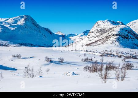 Paysage de montagne d'hiver dans le Jotunheim, Norvège Banque D'Images